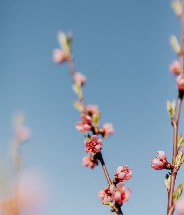 A clear and simple diagram showing the progression of gentle movements.